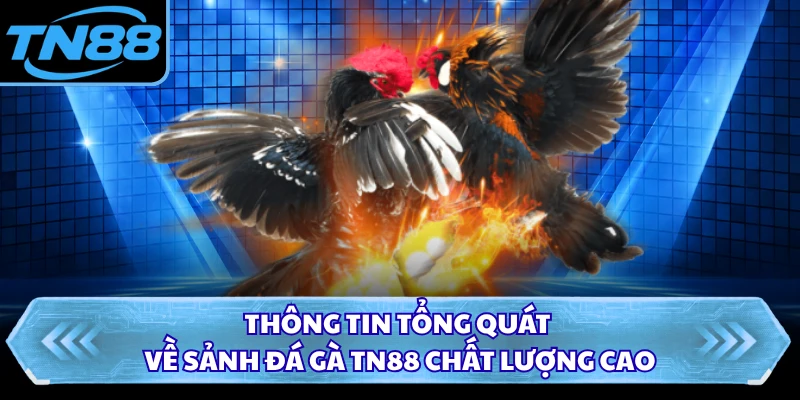 Thông tin tổng quát về sảnh đá gà TN88 chất lượng cao